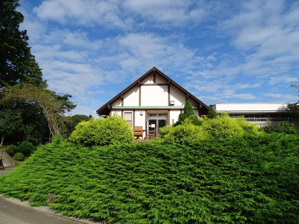 画像124