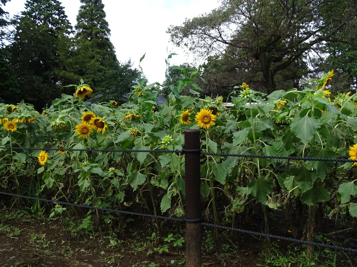 画像126