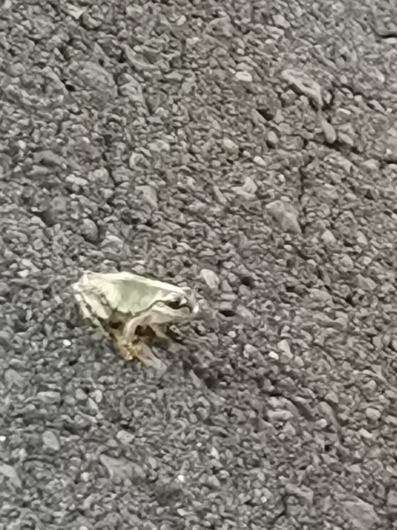 無事帰る の新着タグ記事一覧 Note つくる つながる とどける