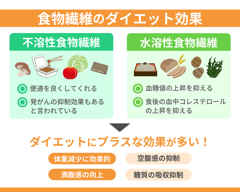 04_食物繊維のダイエット効果_修正