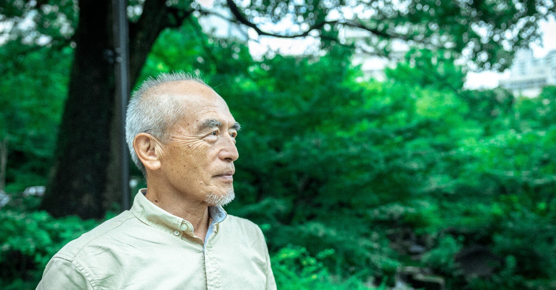 都市の緑化戦略 街づくりにおける緑の継承と展望  /ぎょうせい/日本造園修景協会（単行本） 緑のはなし -緑化の軌跡と都市における修景植栽-｜グリーン