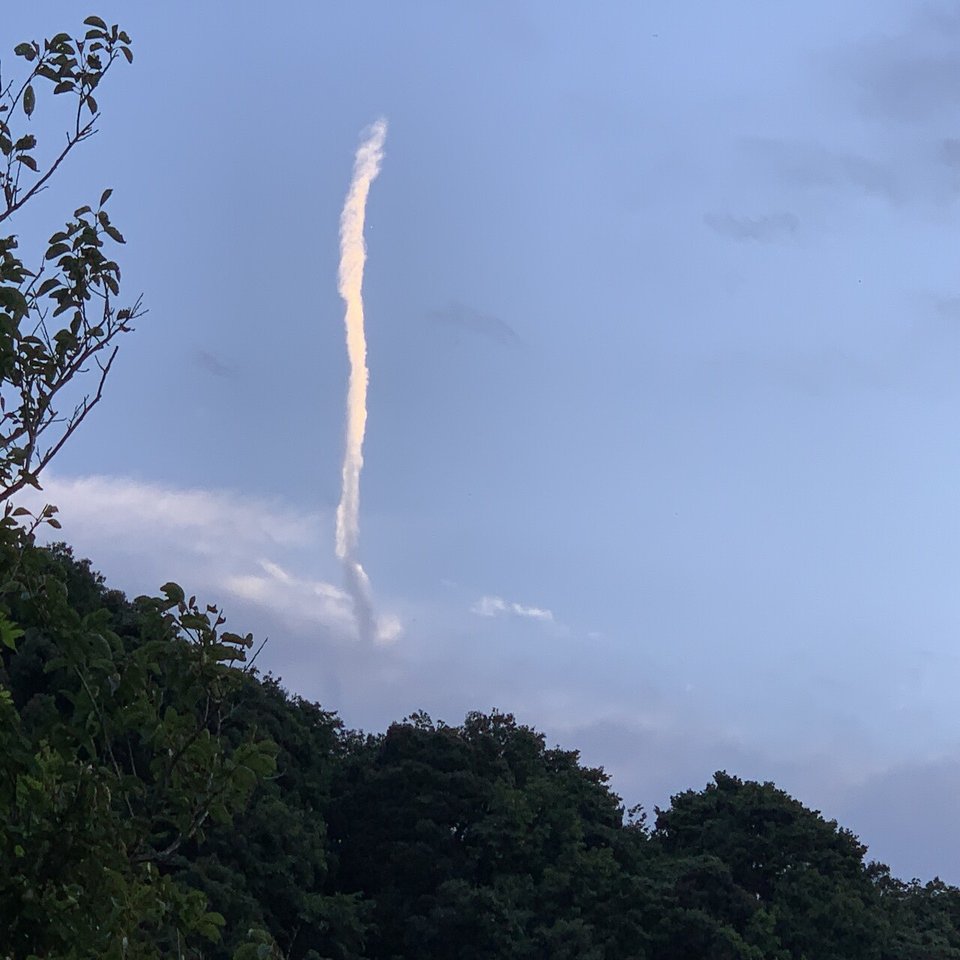 彼は龍、わたしは鳳凰｜HIT_omi