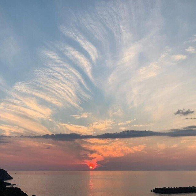 彼は龍、わたしは鳳凰｜HIT_omi