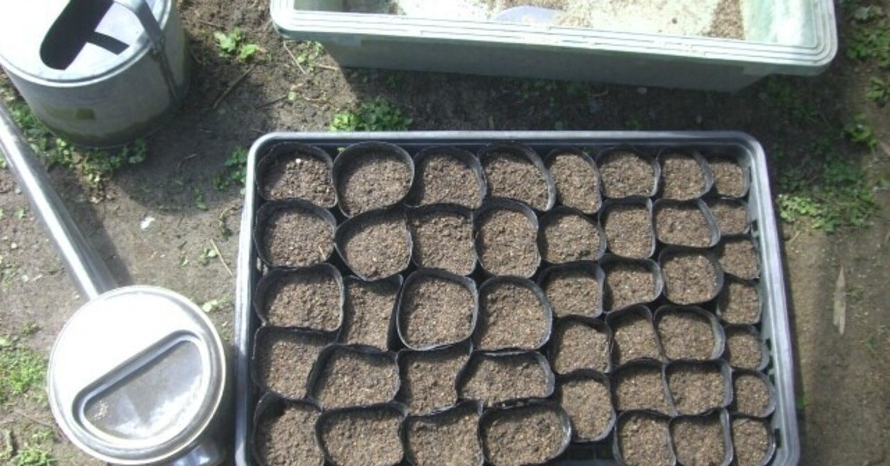 18種類のハーブ 花の種まき かな Note 18種類のハーブ 花の種まき かな Note