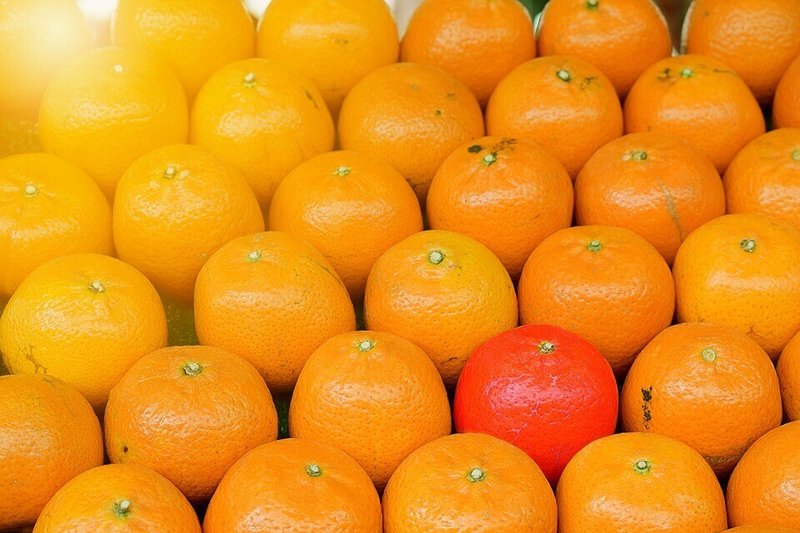 オレンジ・柑橘類・異物・一つだけ違う・並んでいる