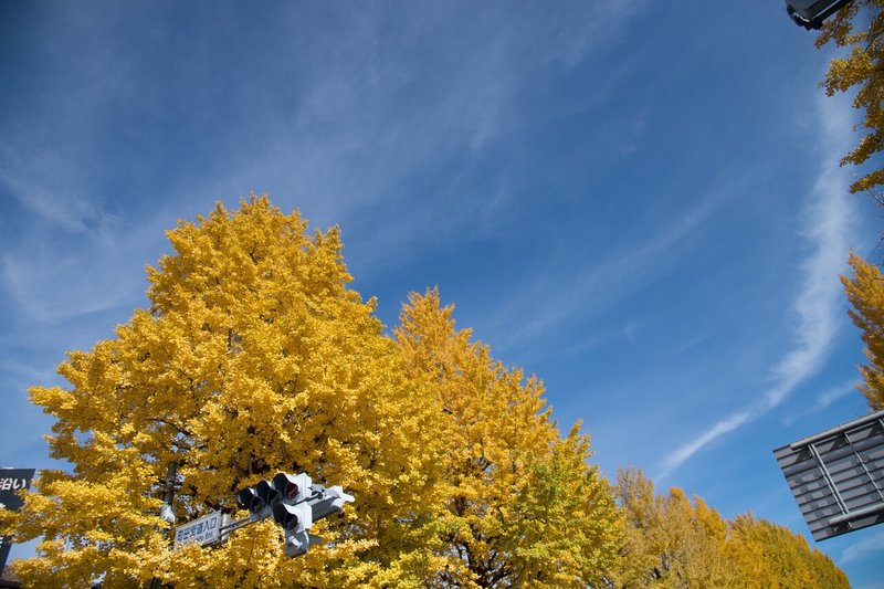 75 教えて 私の頬を伝う涙は寂しさからなのでしょうか 哀しさからなのでしょうか Coucou 作家 Note