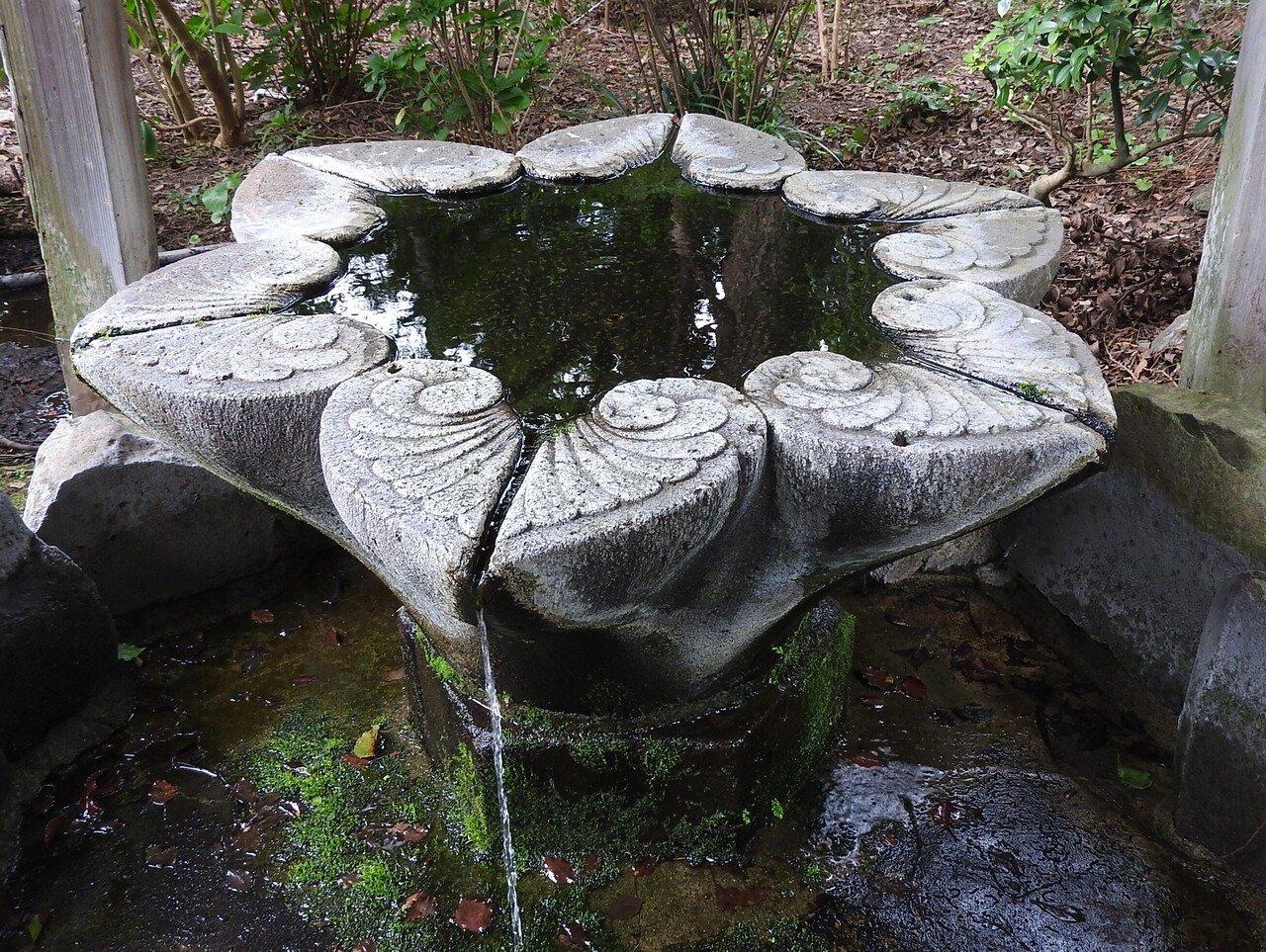 手水鉢の謎とヤマガラ｜株式会社みろく屋