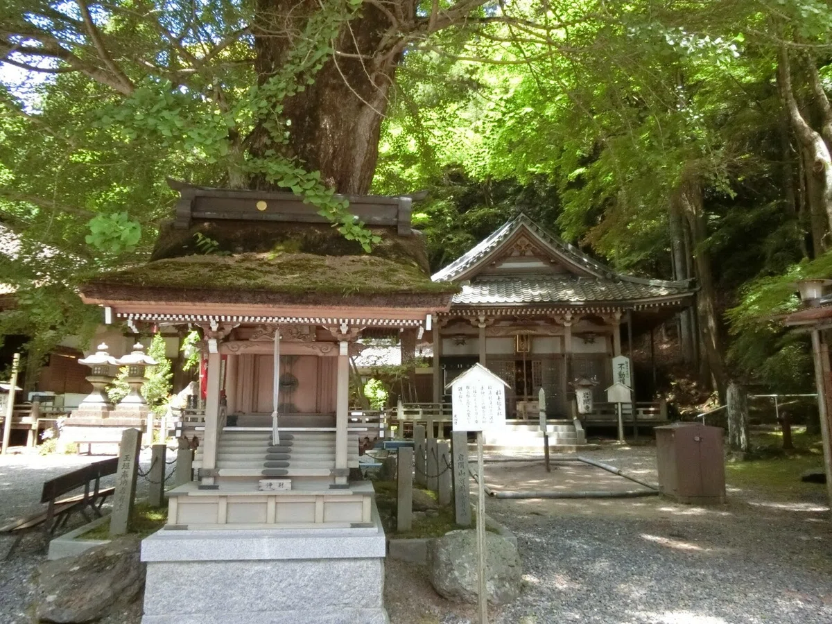 画像2