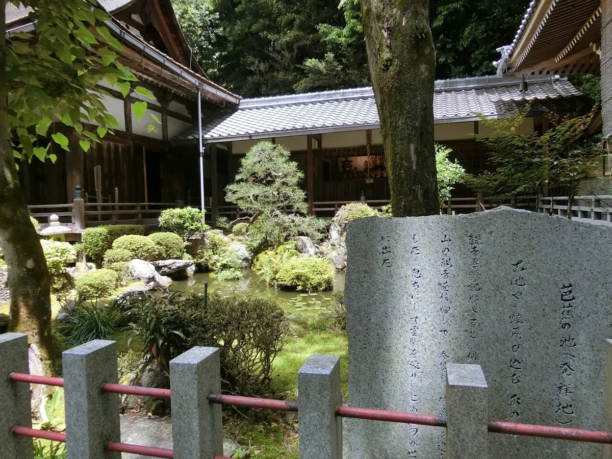 画像5
