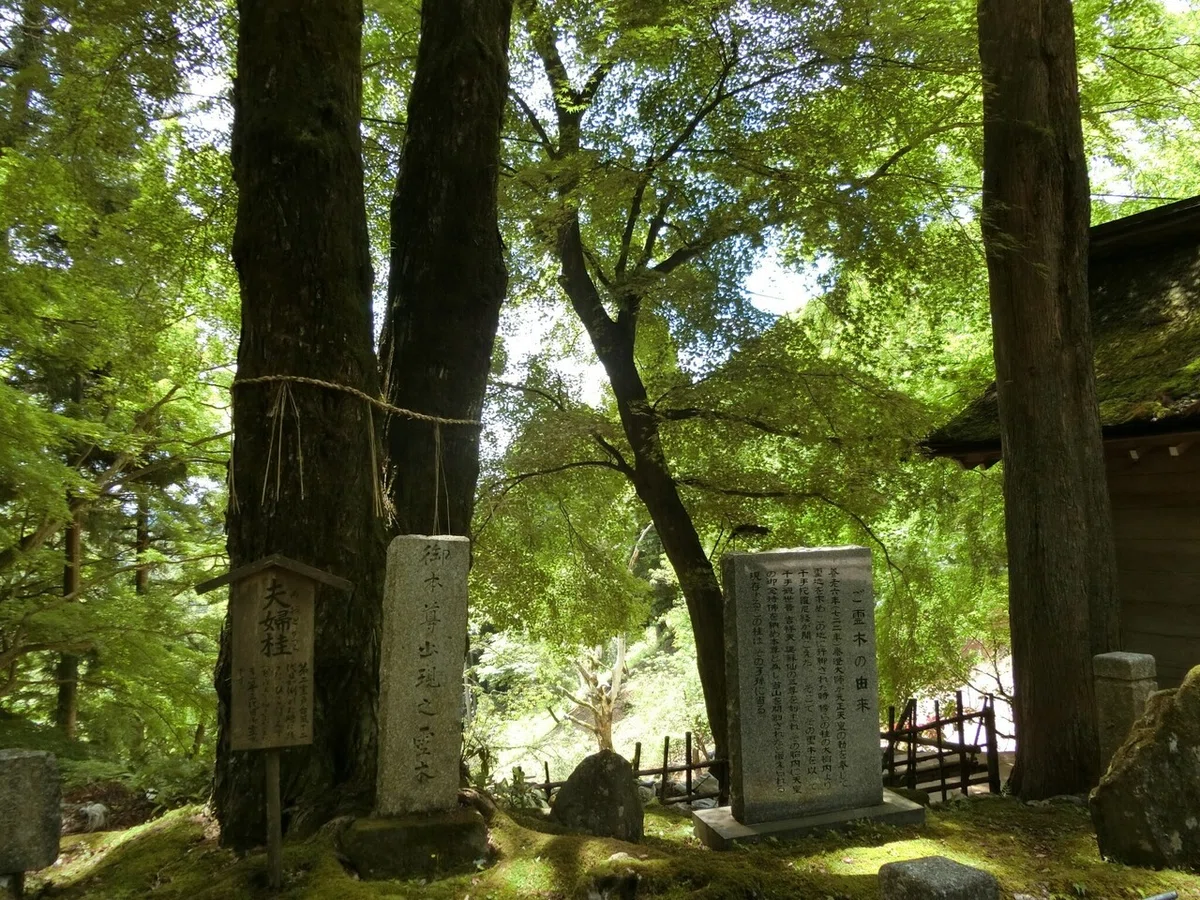 画像10