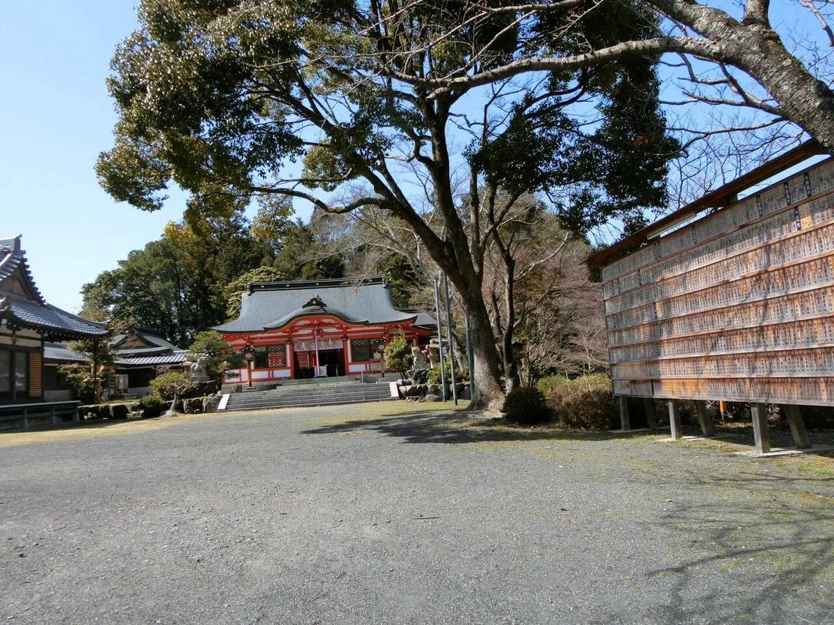 画像11