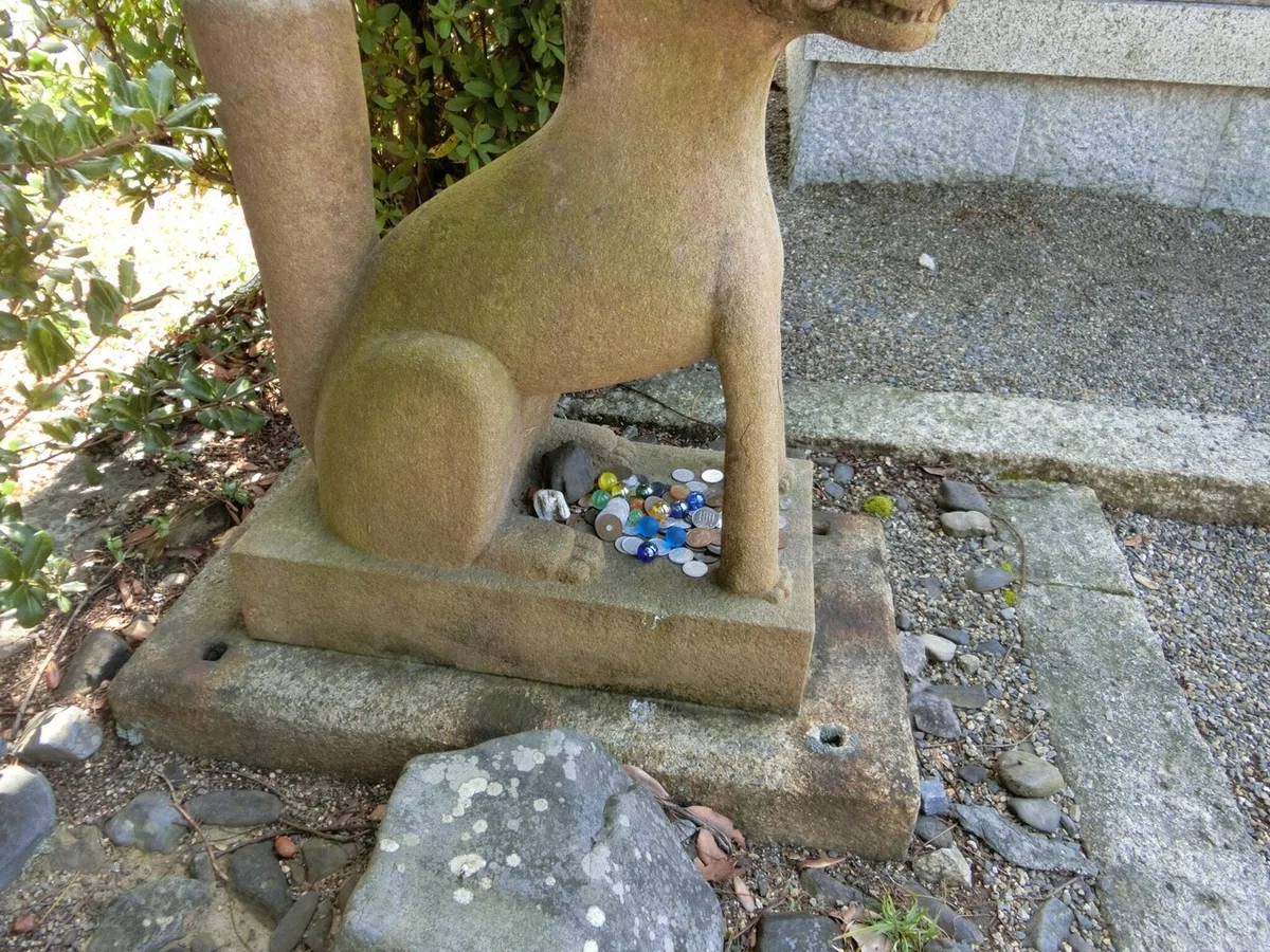 画像14