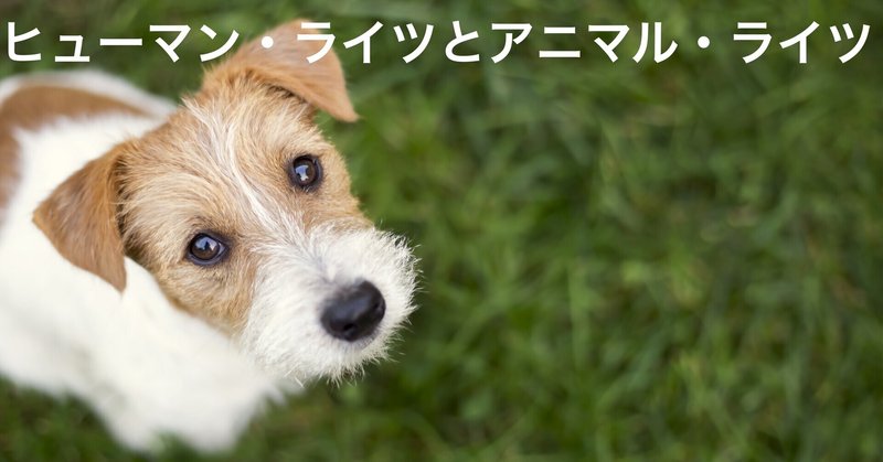 映画 犬部 竜とそばかすの姫 から学ぶさらにもう一つ上の行動とは One Piece考察 Will Of Dの意識 でぃーのいしき Note Note