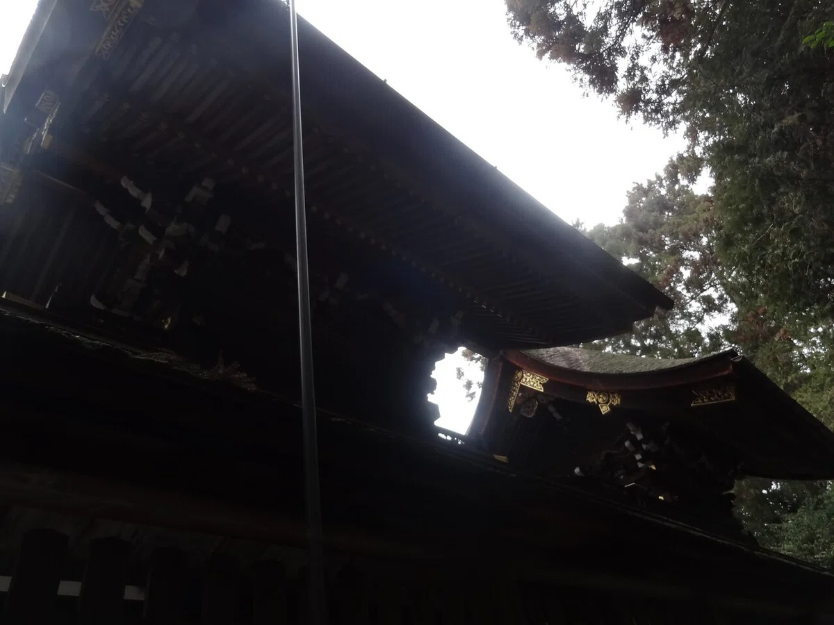 画像6