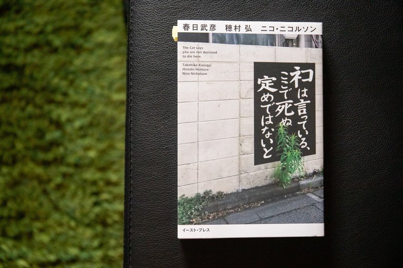 私たちはどう死ぬのか ネコは言っている ここで死ぬ定めではないと を読んで 三好 優実 Note
