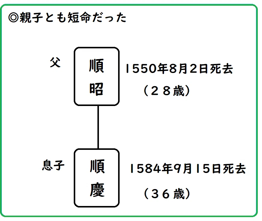 筒井順昭と順慶