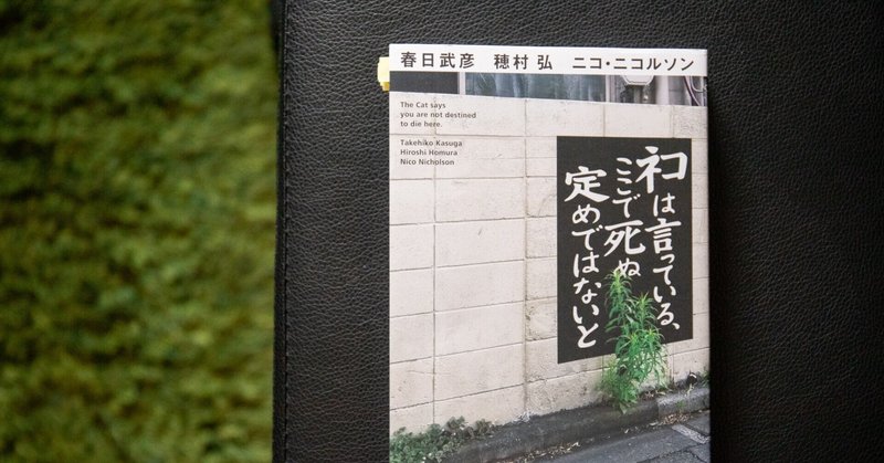 私たちはどう死ぬのか ネコは言っている ここで死ぬ定めではないと を読んで 三好 優実 Note