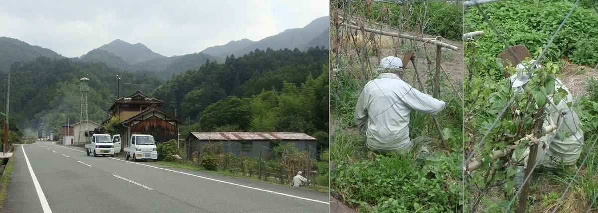 画像11