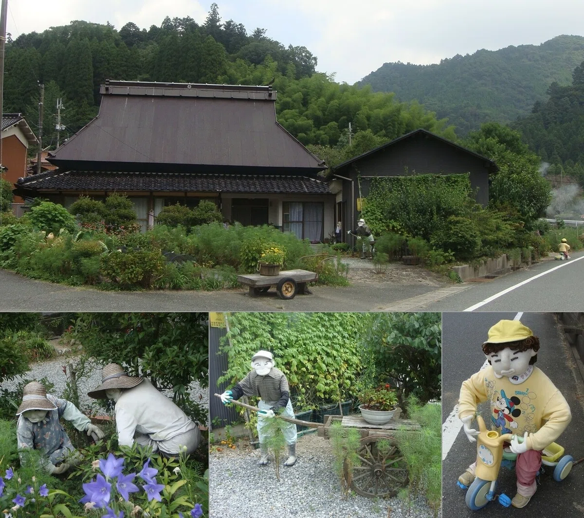 画像14