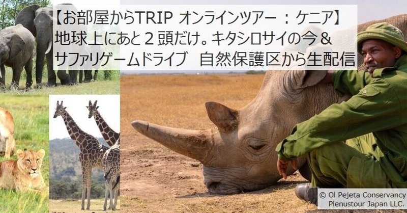 【お部屋からTRIP オンラインツアー : ケニア】地球上にあと2頭だけ。キタシロサイの現状 & サファリゲームドライブ 自然保護区から生配信。(日本語通訳付) ~野生動物保護と絶滅危惧種を考えるスタディーツアー~