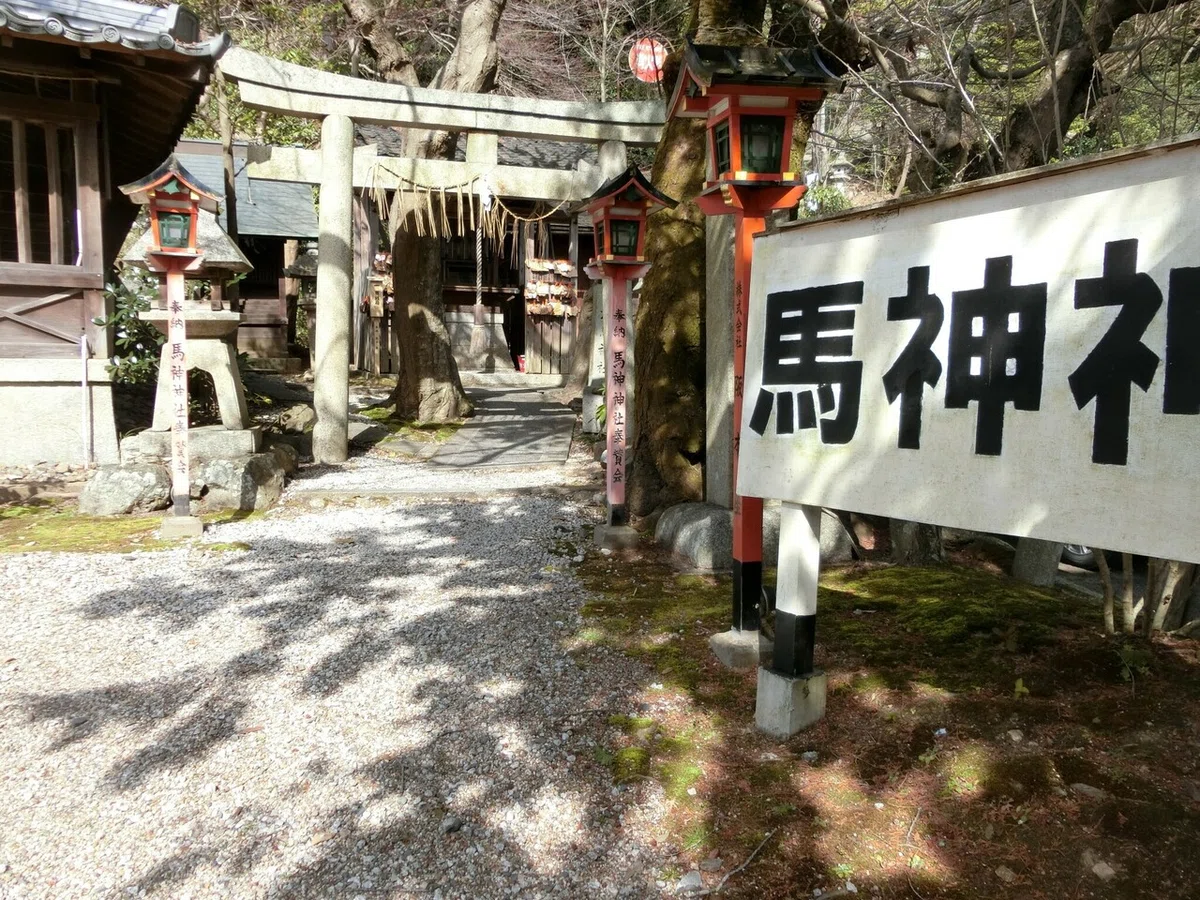 画像4