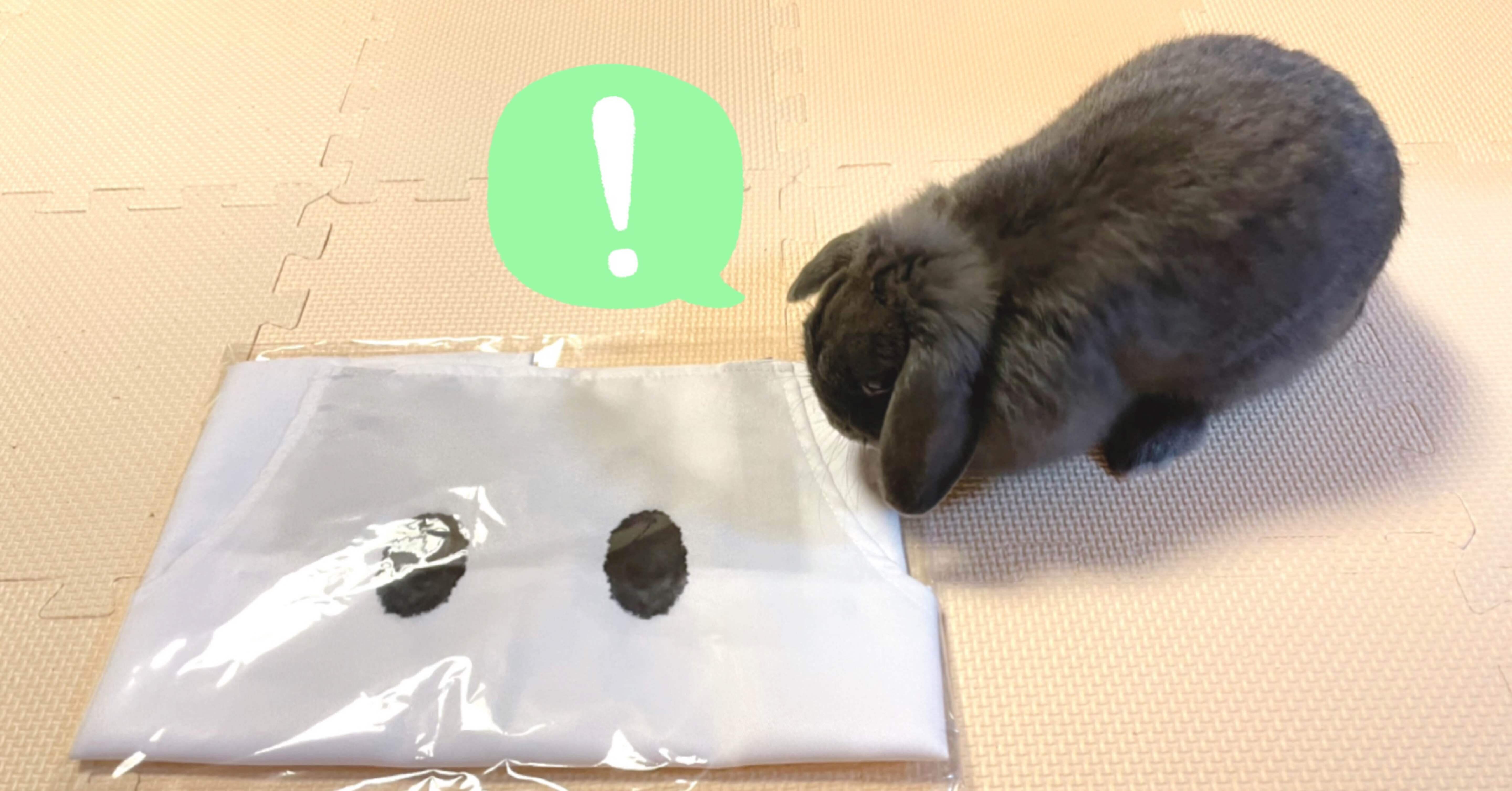 NieR Re［in］carnation（リィンカネ）ママエプロン当選 → 到着！｜げ