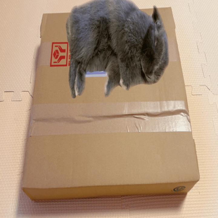 NieR Re［in］carnation（リィンカネ）ママエプロン当選 → 到着！｜げ