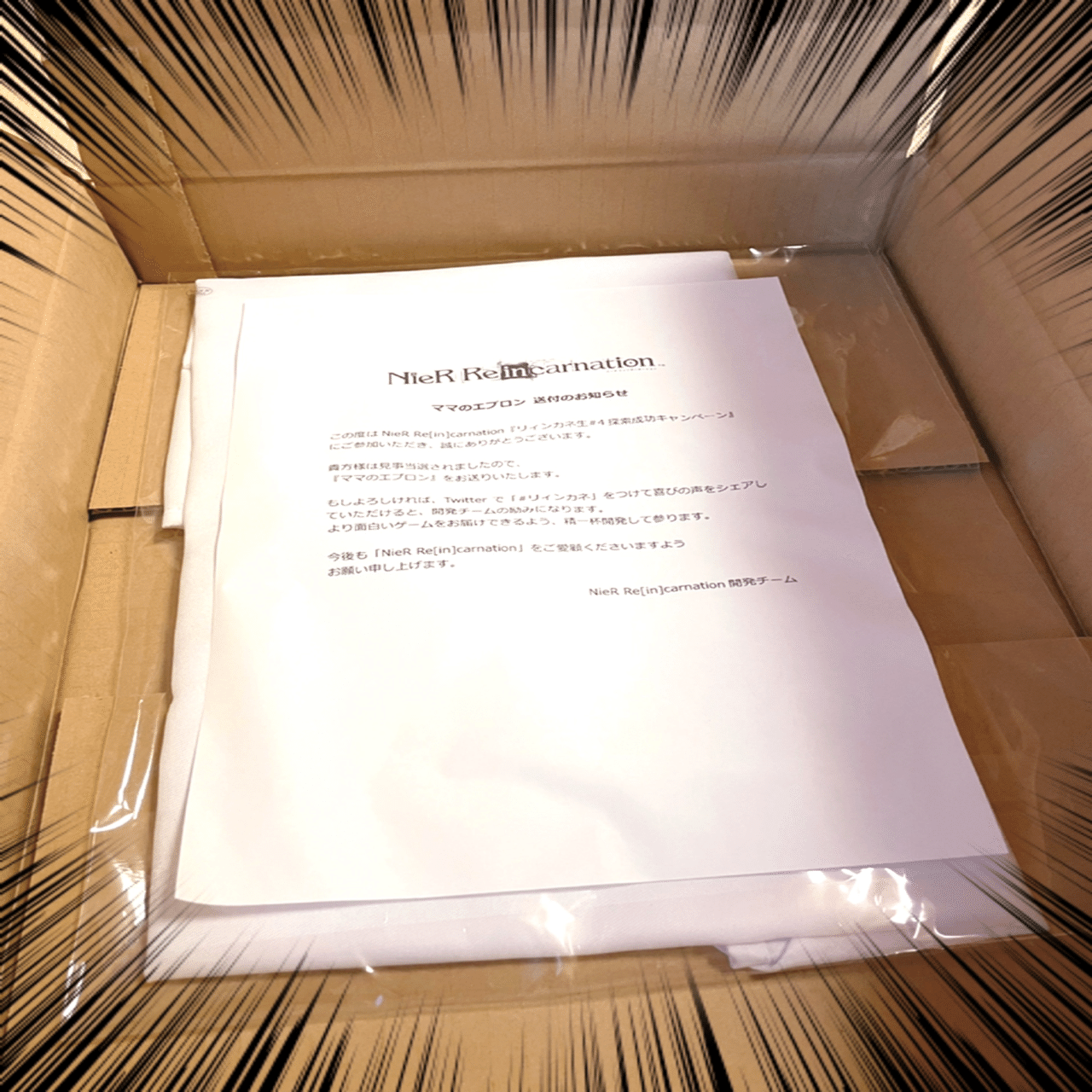 NieR Re［in］carnation（リィンカネ）ママエプロン当選 → 到着！｜げ