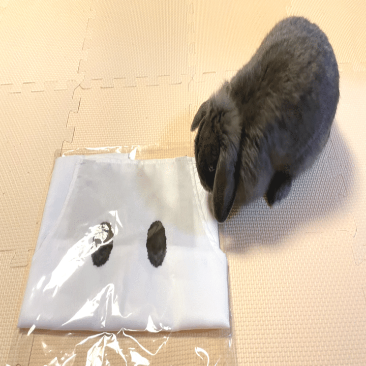 NieR Re［in］carnation（リィンカネ）ママエプロン当選 → 到着！｜げ