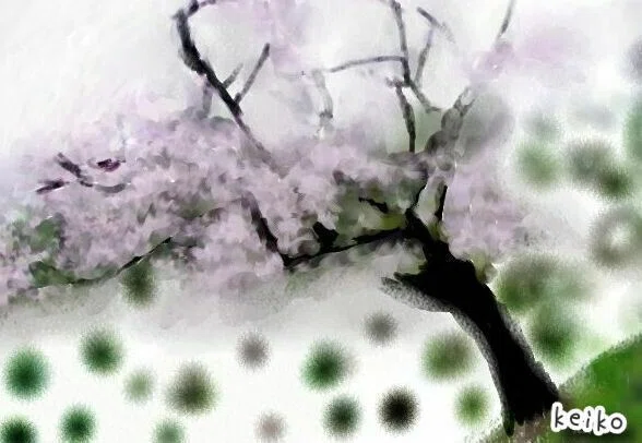 大滝神社のぜんまい桜_ｋ