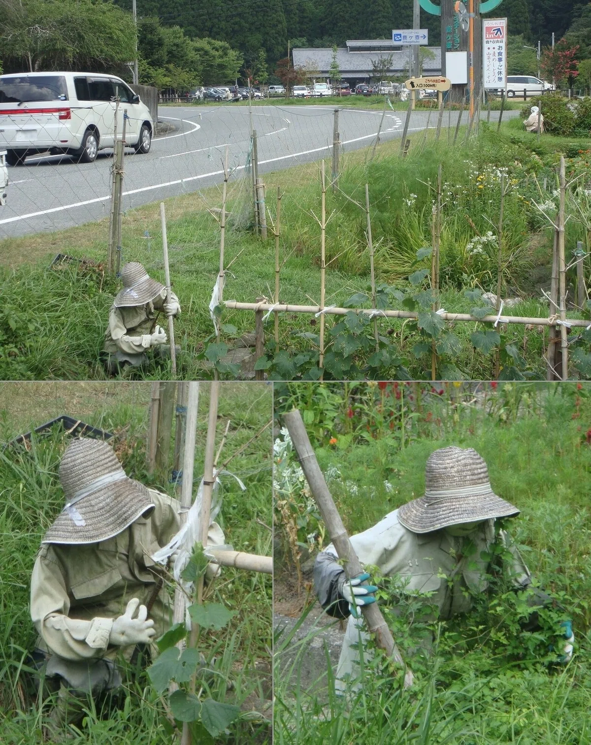 画像19