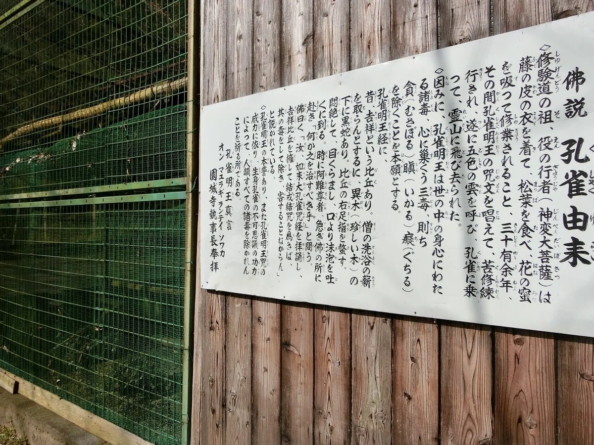 画像14