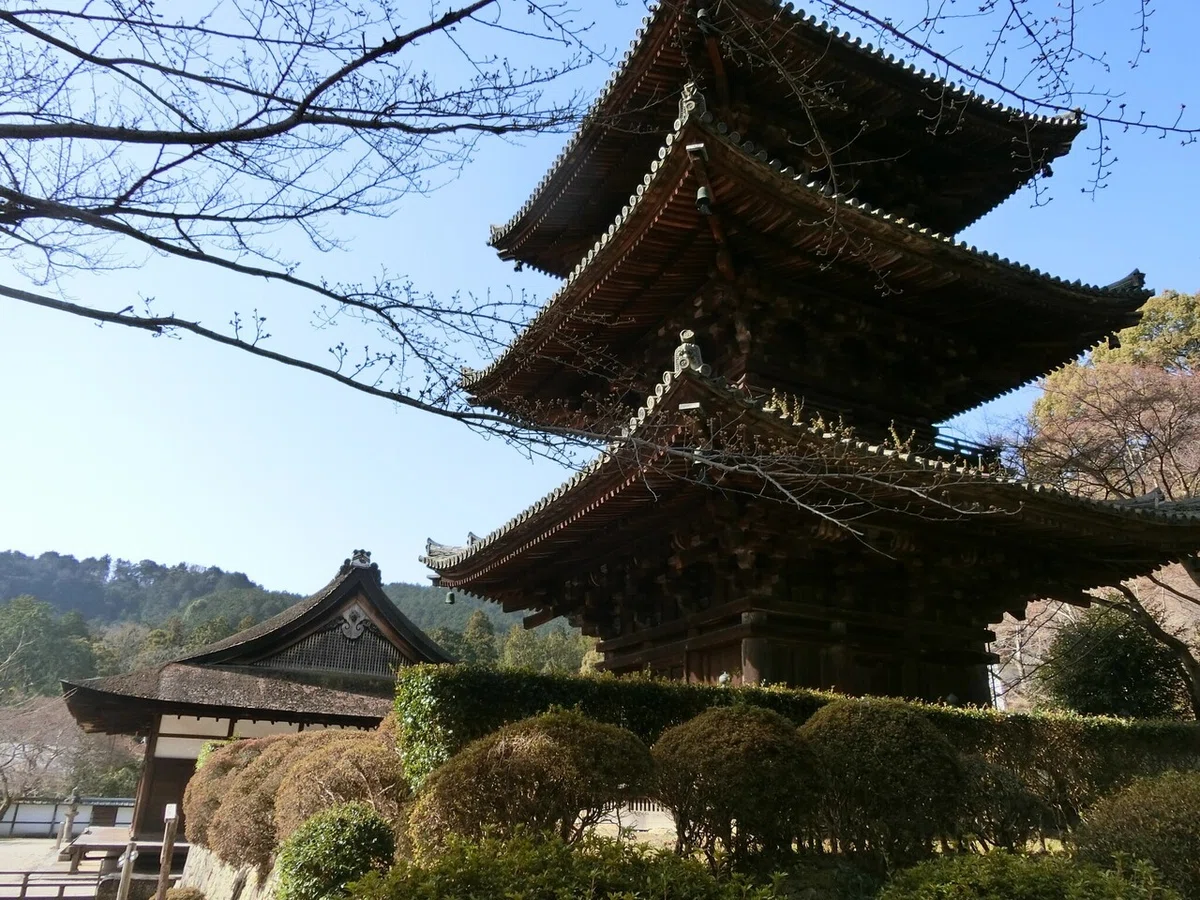 画像20