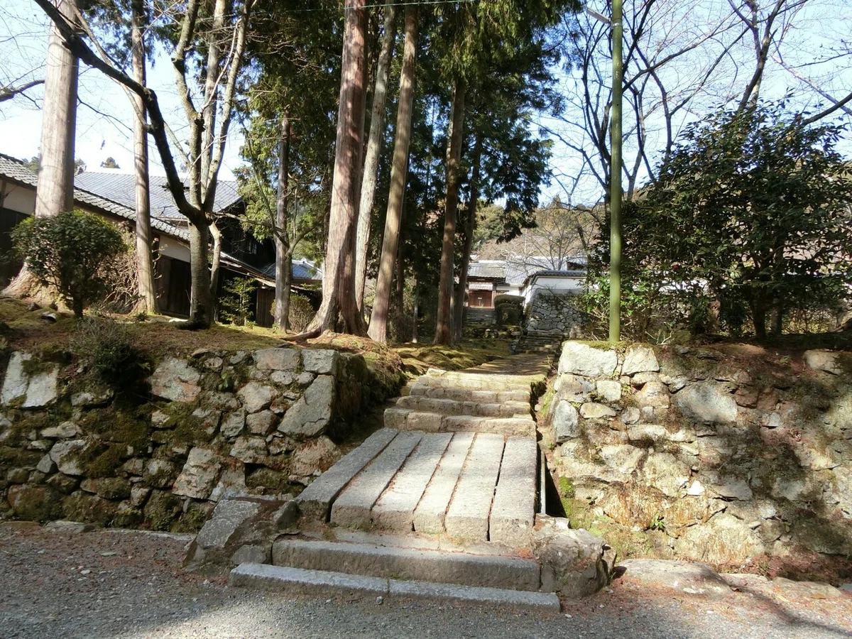 画像24