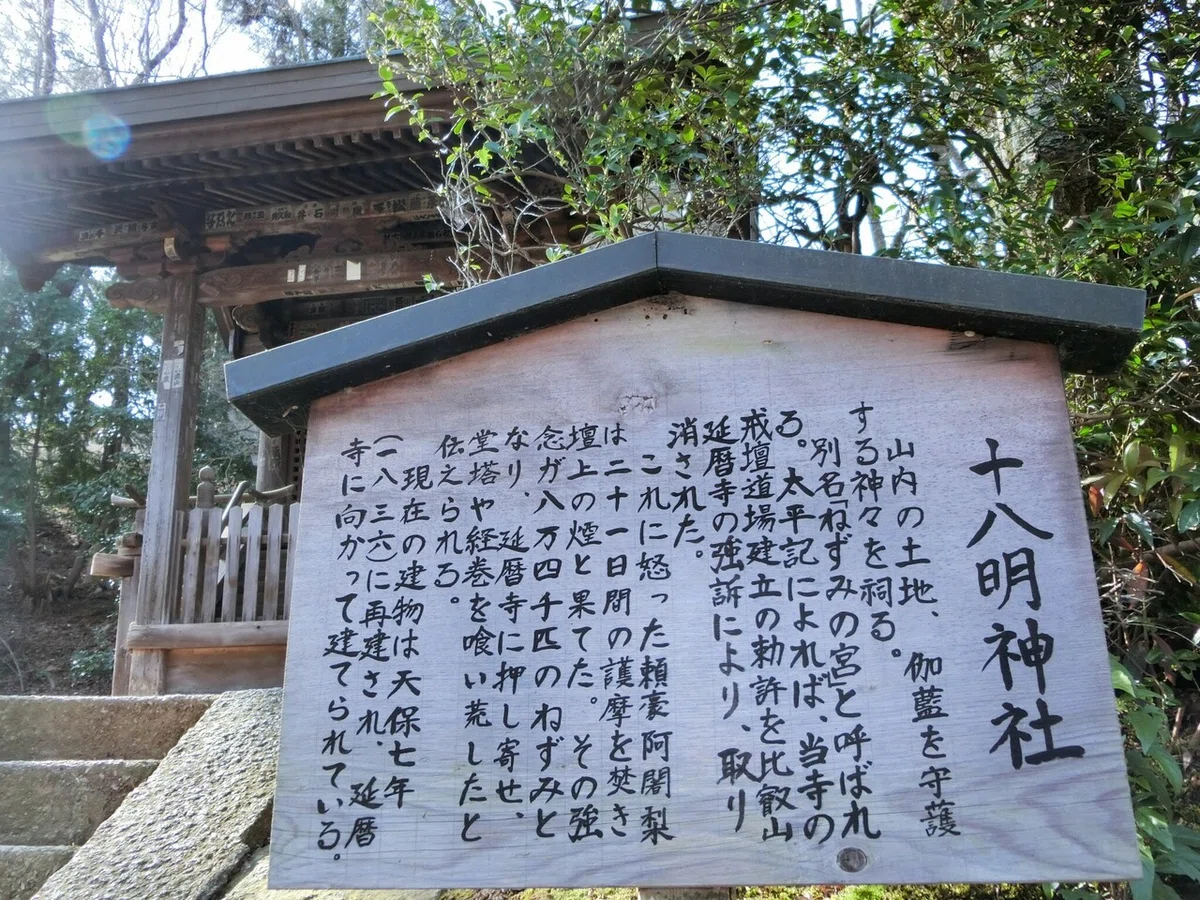 画像29
