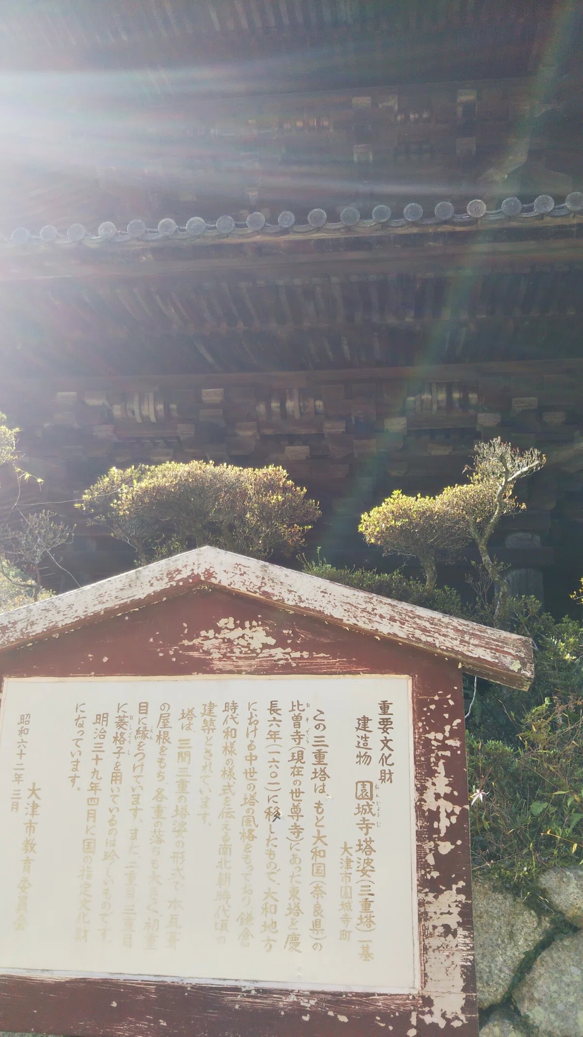 画像43