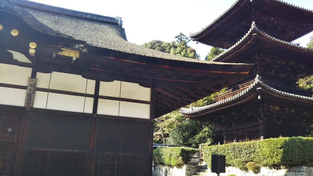 画像44