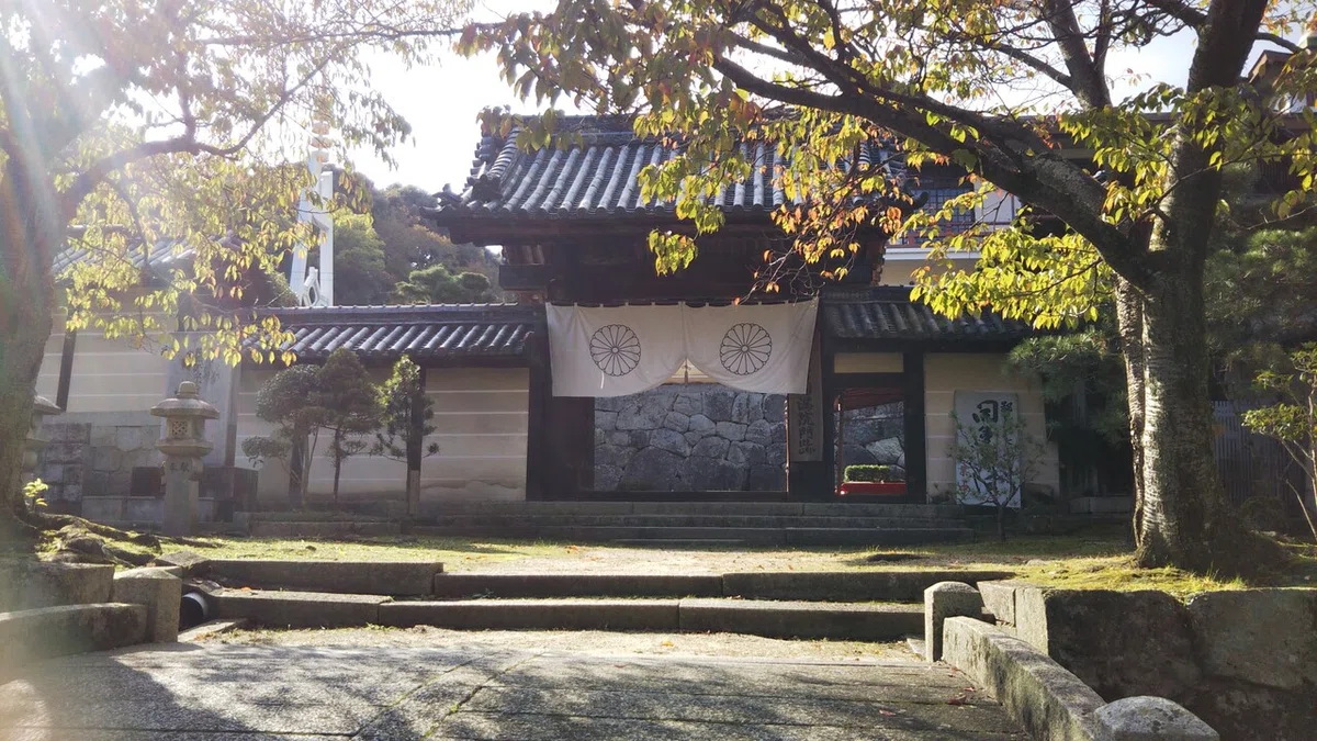 画像49