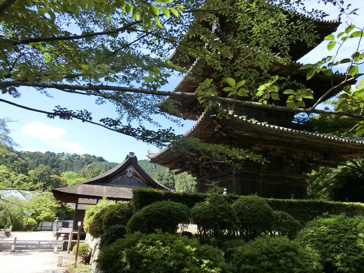 画像60