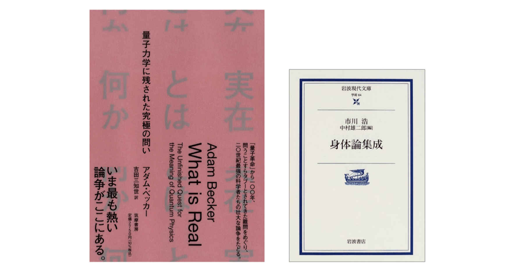 アダム ベッカー 実在とは何か 量子力学に残された究極の問い 市川 浩 身体論集成 Kaze Note