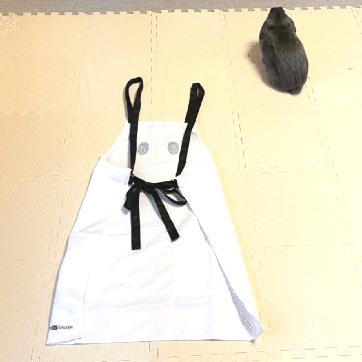 NieR Re［in］carnation（リィンカネ）ママエプロン当選 → 到着！｜げ