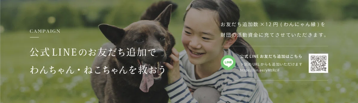 キャンんペーンバナー