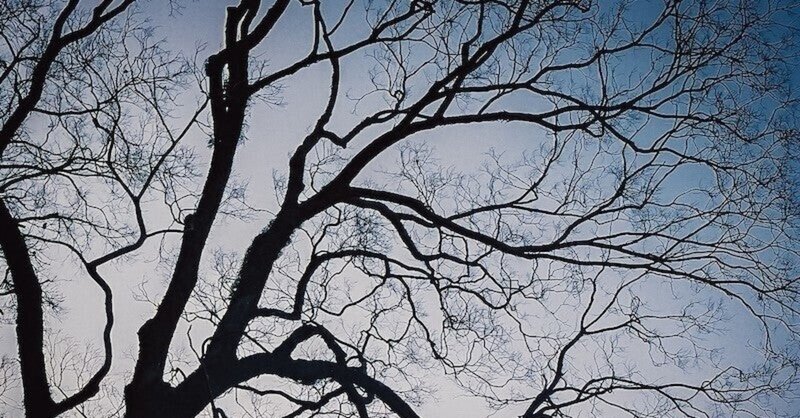 詩「ふゆのさむぞら」