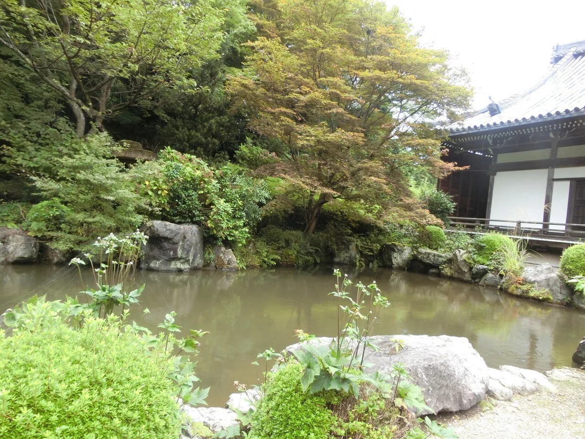 画像52