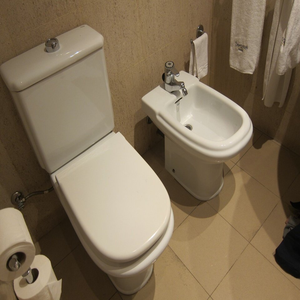 海外うんちく 3 イタリアのトイレは便器が２つ 世界のトイレ事情 アキタ ヨウスケ 旅するちんあなご Note