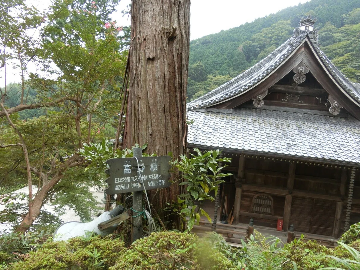 画像61