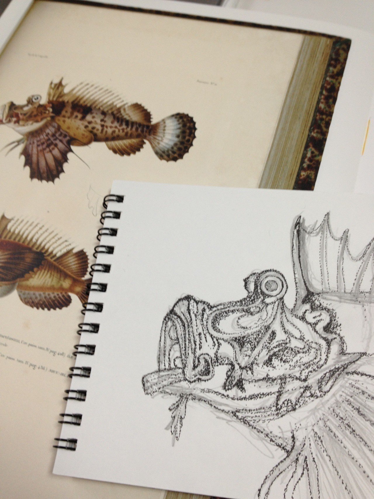 点描画｜竜生九子博物館