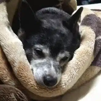 久蔵久蔵