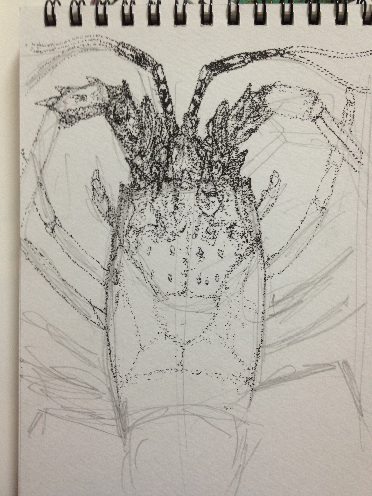 点描画｜竜生九子博物館