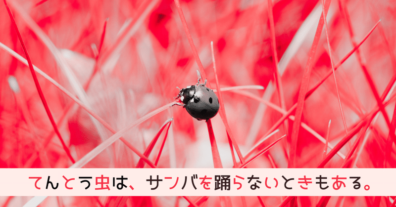 仮面 ライダー てんとう 虫